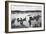 Harvard vs. Yale Rowing Crew Race Photograph - New London, CT-Lantern Press-Framed Art Print