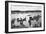 Harvard vs. Yale Rowing Crew Race Photograph - New London, CT-Lantern Press-Framed Art Print