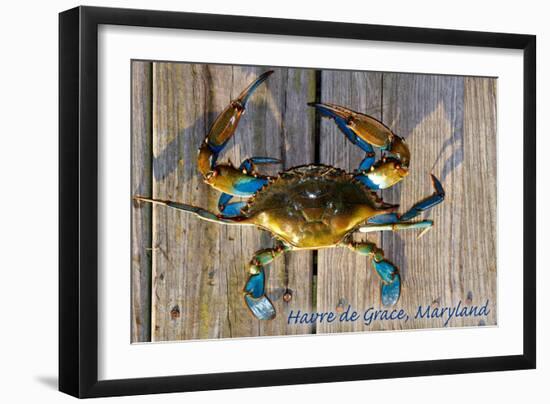 Harve De Grace, Maryland - Blue Crab on Dock-Lantern Press-Framed Art Print