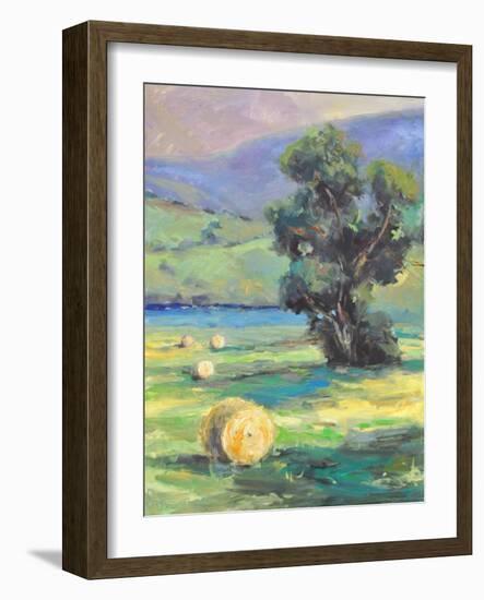 HARVEST #2-ALLAYN STEVENS-Framed Premium Giclee Print