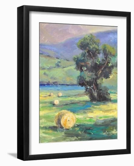 HARVEST #2-ALLAYN STEVENS-Framed Premium Giclee Print