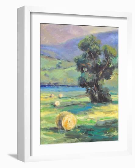 HARVEST #2-ALLAYN STEVENS-Framed Premium Giclee Print