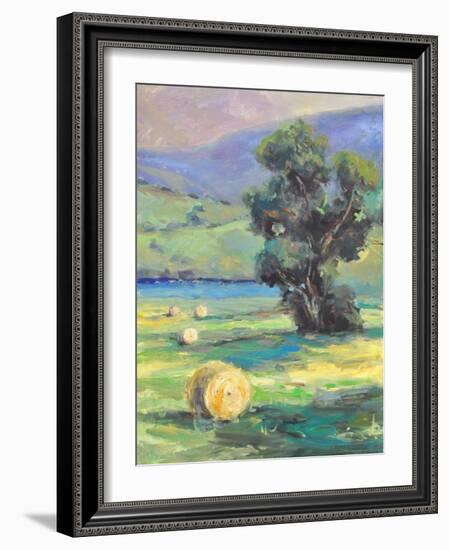 HARVEST #2-ALLAYN STEVENS-Framed Premium Giclee Print