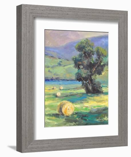 HARVEST #2-ALLAYN STEVENS-Framed Art Print