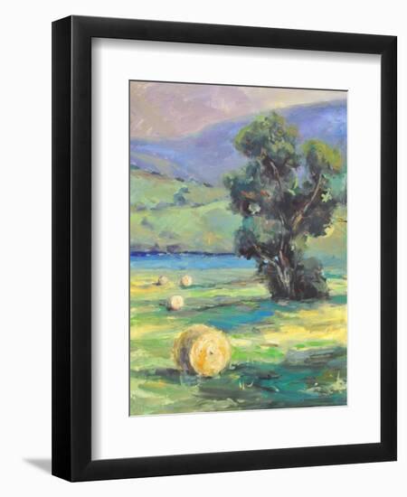 HARVEST #2-ALLAYN STEVENS-Framed Art Print