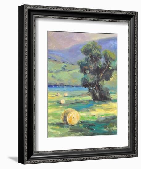 HARVEST #2-ALLAYN STEVENS-Framed Art Print