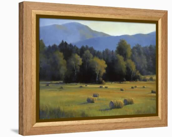 Harvest Eve-David Marty-Framed Premier Image Canvas