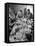 Harvest Farm Hands Eating Lunch Served by Their Wives in Kitchen of Farmhouse-Alfred Eisenstaedt-Framed Premier Image Canvas
