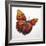 Harvest Flight-Sydney Edmunds-Framed Giclee Print