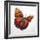 Harvest Flight-Sydney Edmunds-Framed Giclee Print