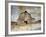 Harvest II-Mark Chandon-Framed Giclee Print