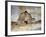 Harvest II-Mark Chandon-Framed Giclee Print