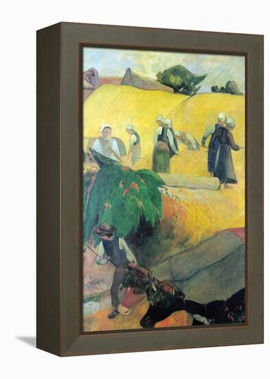 Harvest in Brittany-Paul Gauguin-Framed Stretched Canvas