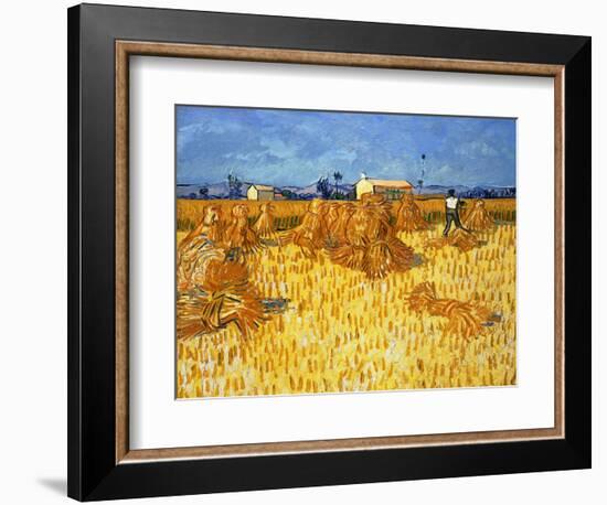 Harvest in Provence, June 1888-Vincent van Gogh-Framed Giclee Print