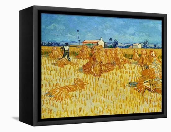 Harvest in Provence of Wheat Field with Sheaves, c.1888-Vincent van Gogh-Framed Premier Image Canvas