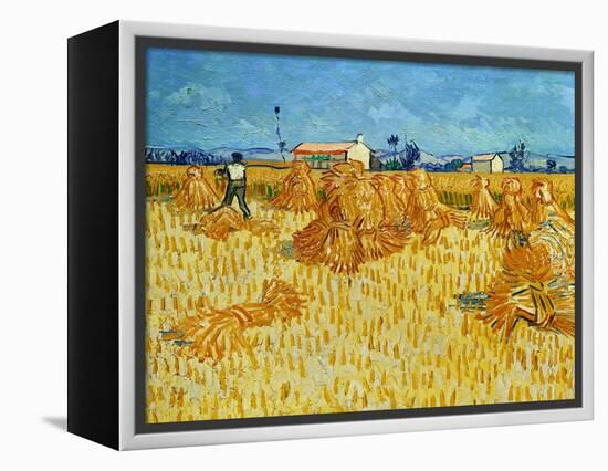 Harvest in Provence of Wheat Field with Sheaves, c.1888-Vincent van Gogh-Framed Premier Image Canvas