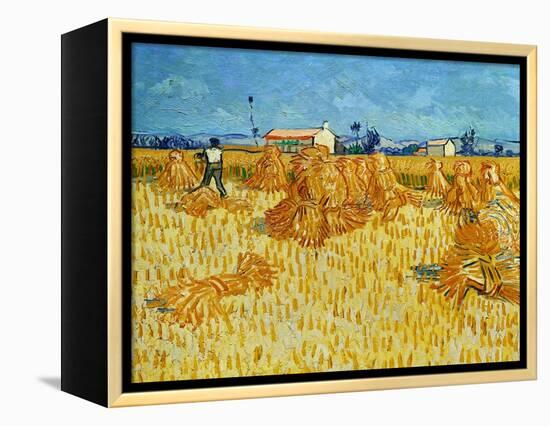 Harvest in Provence of Wheat Field with Sheaves, c.1888-Vincent van Gogh-Framed Premier Image Canvas