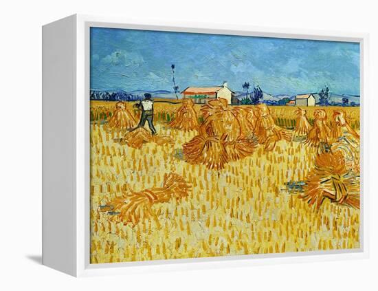 Harvest in Provence of Wheat Field with Sheaves, c.1888-Vincent van Gogh-Framed Premier Image Canvas