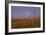 Harvest Moon Down the Road, Gleichen, Alberta, Canada-null-Framed Photographic Print