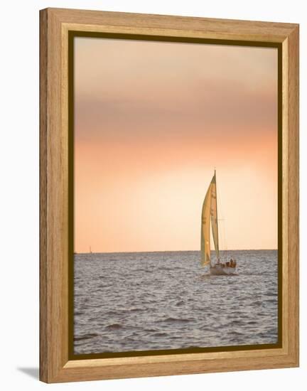 Harvest Moon Regatta, Galveston, Texas, USA-Russell Young-Framed Premier Image Canvas