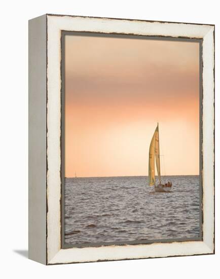 Harvest Moon Regatta, Galveston, Texas, USA-Russell Young-Framed Premier Image Canvas