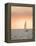 Harvest Moon Regatta, Galveston, Texas, USA-Russell Young-Framed Premier Image Canvas