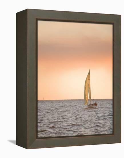 Harvest Moon Regatta, Galveston, Texas, USA-Russell Young-Framed Premier Image Canvas