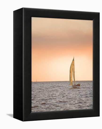 Harvest Moon Regatta, Galveston, Texas, USA-Russell Young-Framed Premier Image Canvas