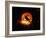 Harvest Moon-Julie Fain-Framed Art Print