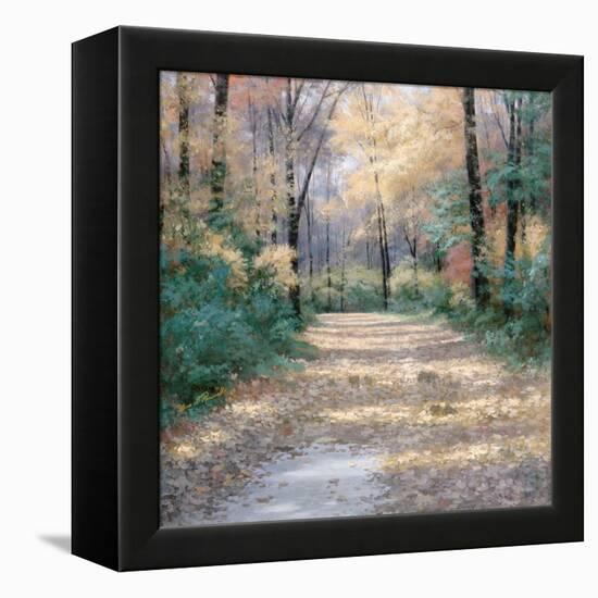 Harvest Morning-Diane Romanello-Framed Stretched Canvas