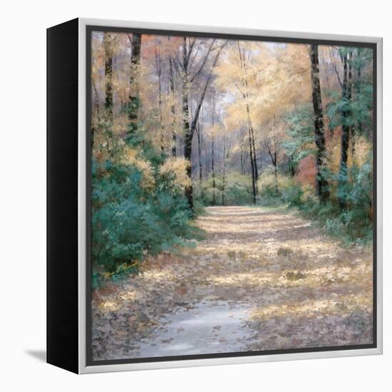 Harvest Morning-Diane Romanello-Framed Stretched Canvas