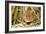 Harvest Mouse Eating Wheat Seed-null-Framed Photographic Print