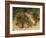 Harvest Mouse Mother Standing over 1-Week Babies in Nest, UK-Andy Sands-Framed Photographic Print