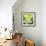 Harvest Prize 1-Martha Negley-Framed Giclee Print displayed on a wall