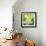 Harvest Prize 1-Martha Negley-Framed Giclee Print displayed on a wall