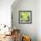 Harvest Prize 1-Martha Negley-Framed Giclee Print displayed on a wall