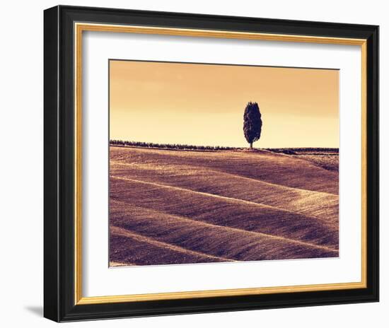 Harvest Season in Tuscany-Michal Bednarek-Framed Art Print