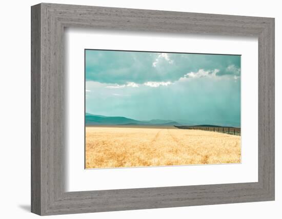 Harvest Shadow-Annie Bailey Art-Framed Photographic Print