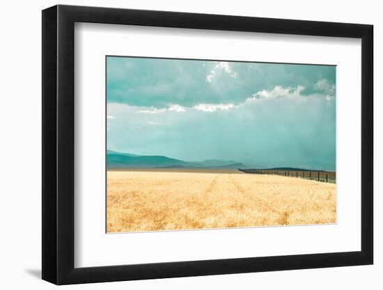 Harvest Shadow-Annie Bailey Art-Framed Photographic Print