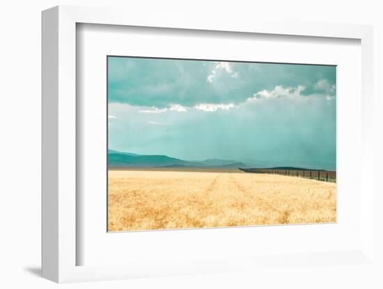 Harvest Shadow-Annie Bailey Art-Framed Photographic Print