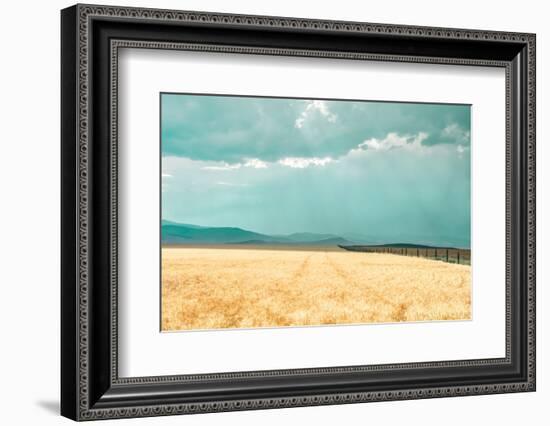 Harvest Shadow-Annie Bailey Art-Framed Photographic Print