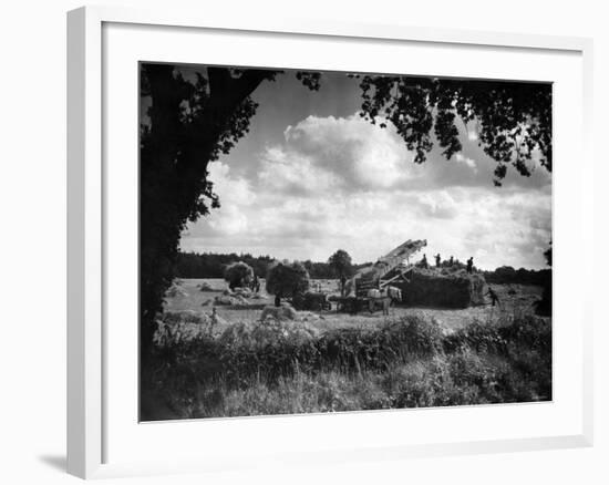 Harvest, Stacking Corn in Norfolk, September 1946-null-Framed Photographic Print