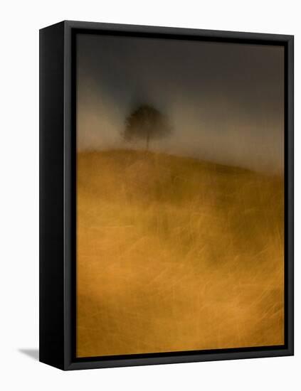 Harvest Storm Passing-Doug Chinnery-Framed Premier Image Canvas