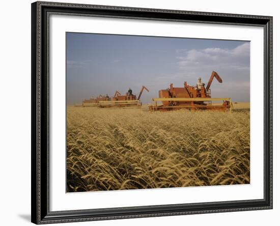 Harvest Story: Combines Harvest Wheat at Ranch in Texas-Ralph Crane-Framed Photographic Print