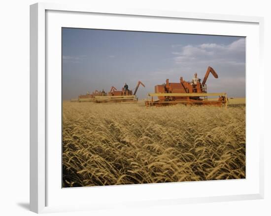 Harvest Story: Combines Harvest Wheat at Ranch in Texas-Ralph Crane-Framed Photographic Print