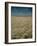 Harvest Story: Combines Harvest Wheat at Ranch in Texas-Ralph Crane-Framed Photographic Print