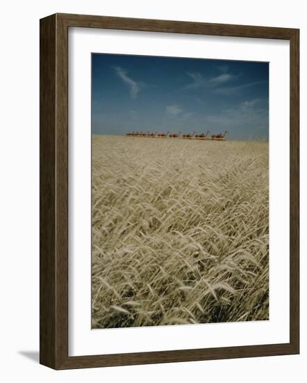 Harvest Story: Combines Harvest Wheat at Ranch in Texas-Ralph Crane-Framed Photographic Print