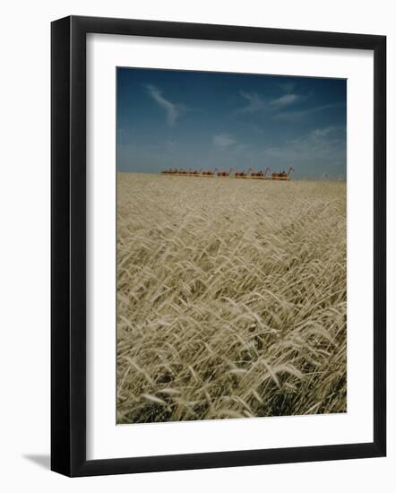 Harvest Story: Combines Harvest Wheat at Ranch in Texas-Ralph Crane-Framed Photographic Print