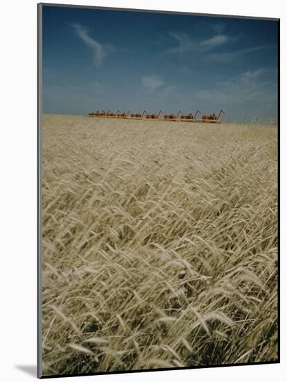 Harvest Story: Combines Harvest Wheat at Ranch in Texas-Ralph Crane-Mounted Photographic Print