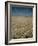 Harvest Story: Combines Harvest Wheat at Ranch in Texas-Ralph Crane-Framed Photographic Print